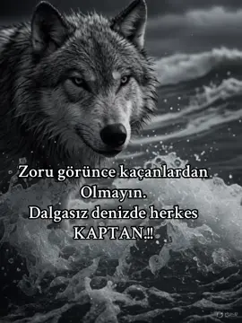 Zoru görünce kaçanlardan Olmayın. Dalgasız denizde herkes KAPTAN.!!#zor #dalga #deniz #kaptan #karadeniz 