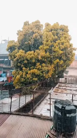 #💞💞🌸🌸🌸🌸💝💝🥰🥰 #💞💞🌸🌸🌸🌸💝💝🥰🥰 