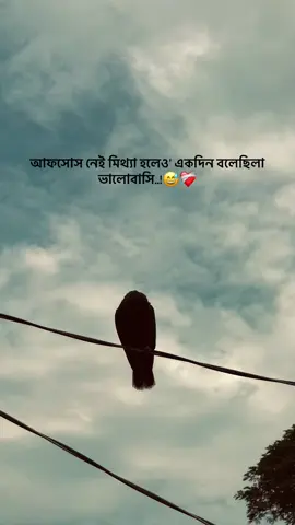 আফসোস নেই মিথ্যা হলেও' একদিন বলেছিলা ভালোবাসি..!😅❤️‍🩹 #foryou  #the_spydoo 