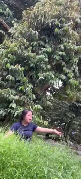 Em là e là e là lạc vào đồng cỏ xanh! 🫠🫠🫠