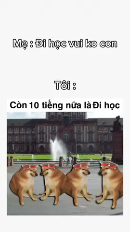 1 tuần đi học #xh #viral #xuhuong  #meme #h.c.hng287