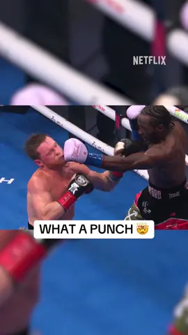 TERENCE CRAWFORD CONNECTS 🥊 #CaneloCrawford  #canelo #caneloalvarez #terencecrawford #boxing 