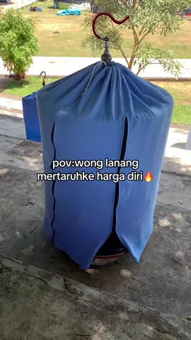 wayah e dino minggu bolo 🔥#fyp #muraibatuindonesia #muraibatugacor #muraibatupulungg #dailysinarjaya 