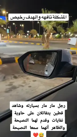 #مشهد 🤍