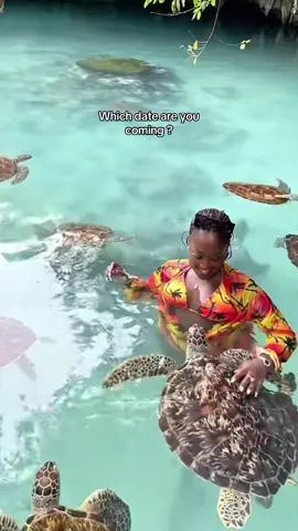 5 DAYS ZANZIBAR ISLAND EXCURSION PACKGE 🏝️ #HIGHLIGHTS     🌴DAY 01 📍Mnemba island  📍snorkeling 🤿🦪 📍Swimming with Dolphins 📍Relax on the sandbank 📍Seafood lunch etc 📍Soft drinks  📍Fresh fruits        🌴DAY 2:  📍Spice farm 📍Prison island  📍Local lunch etc  📍Stone town tour  📍Sunset at Forodhani park. 📍Forodhani night food market       🌴DAY 3:  📍Swimming with turtles 📍Kendwa beach relaxation  📍clear kayaking 📍dhow sunset cruise        🌴DAY 4:  📍Safari Blue  📍Sailing on Traditional Dhow 📍Snorkeling  📍Chilling on Sandbank 📍 Fresh Fruits 📍Lunch (fresh seafood barbecue or chicken) 📍Swimming in mangrove lagoon 📍Unique Baobab tree       🌴DAY 5:  📍Jozani forest  📍Mtende beach  📍Visit and swimming in caves. 📍Rock restaurant 📍Sunset on Michamvi Kae beach 📍Acrobatic performance and Bonfire             #INCLUSIVES 📍Hotel pickup and drop off  📍Entry fees 📍guide 📍seafood lunch in sea cruises 📍Water and snacks in all trips 📍Free airport transfer  RATES💰 1 person $700 2 people $400  per person 2-6 people $350 per person (More people low cost ,private only ) BOOKING,INQUIRIED & RESERVATIONS 📲whatsapp https://wa.me/message/PKO3QGIMOHJXD1 🌍www.zanzibartoursandsafaris.com 🌍http://zanzibarprivatetrips.business.site 📧zanzibarbookingtours@gmail.com #zanzibar #mnembaisalnd #hakunamatata 