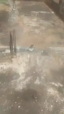 *🚨👉UNE ANCIENNE GRANDE ÉCOLE A VENDRE ENTRE SOKONIKO ET BANANKABOUGOU VERS AUTO GARE ET JUSTE À CÔTÉ DE L'ANCIENNE COUR DE TOGOUNA ET LA GENDARMERIE* DIMENSION *60/40 SOIT 2400 M²* DOCUMENT *TITRE FONCIER*  *🚨👉PRIX 800 MILLIONS A DISCUTER* #tiktokmali🇲🇱223 #bamakomali🇲🇱 #malitiktok🇲🇱 