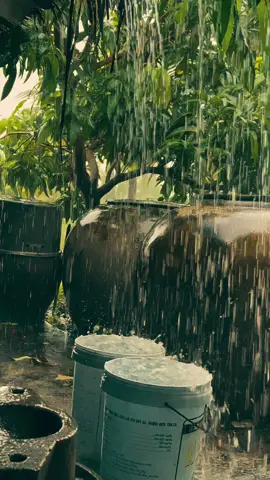 🌧️🌧️#chillwithtiktok #mưabuồn #xuhuong #trending #tiktok 
