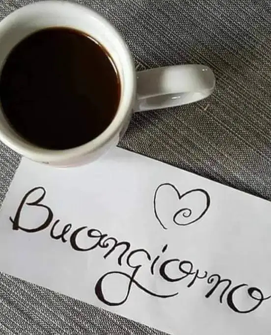 buongiorno a questo nuovo giorno buongiorno a questa nuova domenica #assolutamenteneiperte #buongiornissimo #assolutamenteneiperte #☕️☕️☕️☕️☕️☕️ 