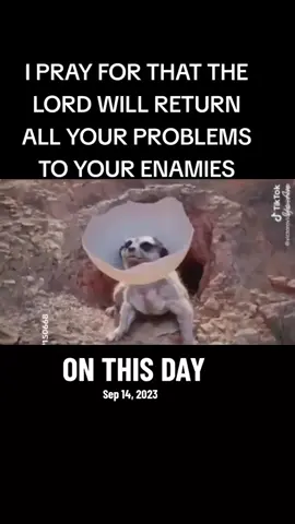 #onthisday 