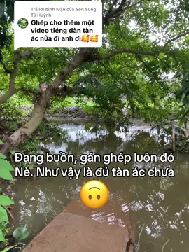 Trả lời @Sen Súng Tú Huỳnh nè e trai, chung tâm trạng đúng ko, hết tiền vk bỏ kkk#xuhuongtiktok #capcut #doncataitu #tiengdanhauydi #cailuongvietnam  @An🏝️nét đẹp miền quê 