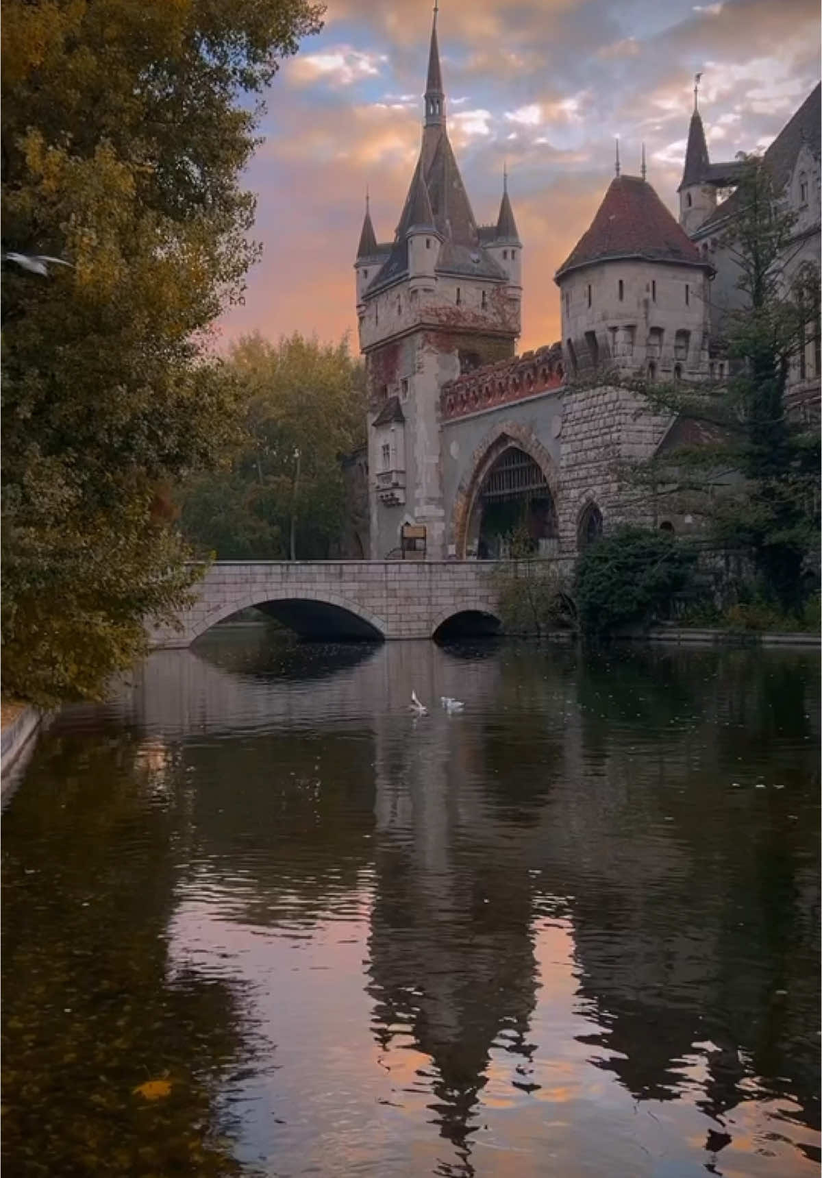Tökéletes őszi reggel a Városligetben 📍Budapest #krennimre #budapest #magyarország #ősz #hungary 