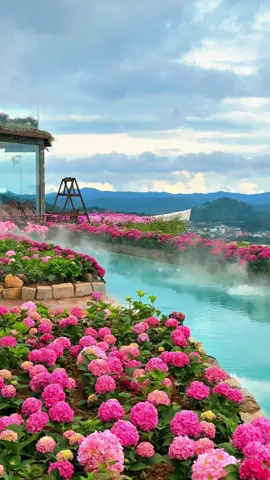 Ở đây sương khói mờ nhân ảnh - Chuyện Của Nắng #dalat #chuyencuanang