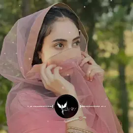 #creatorsearchinsights Hussain Aseer song#trendingsong #fypシ゚ #fypシ゚viral🖤tiktok #videoviralitiktok @tiktok creators 