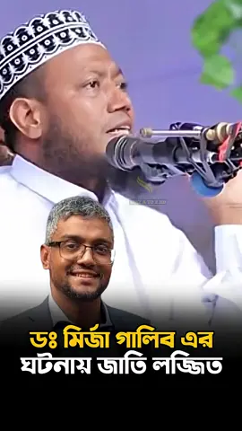 ইসলামী আন্দোলন বাংলাদেশ 