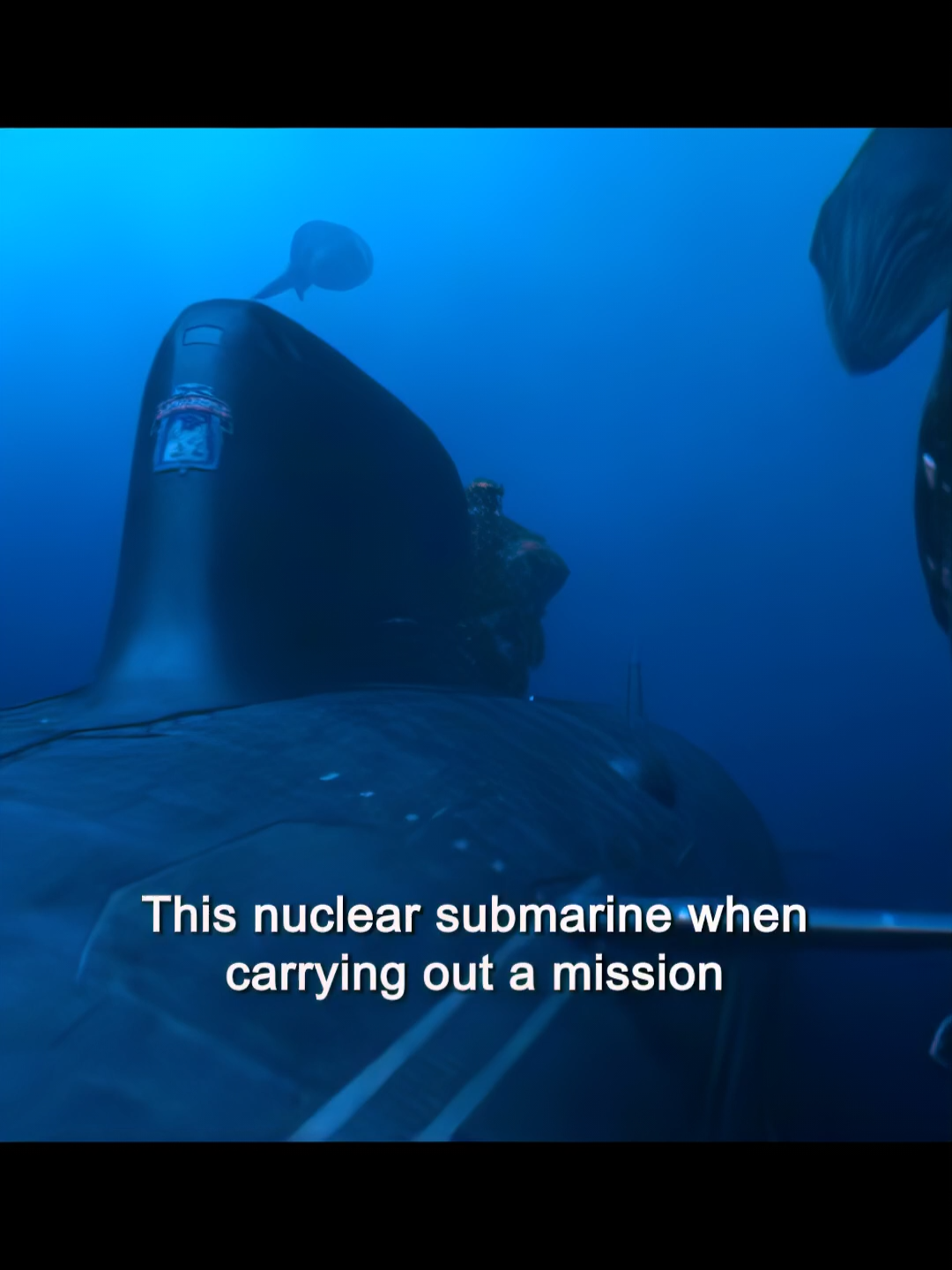 A nuclear submarine encountered harassment from dozens of whales while on a mission.#foryou #life #oldmovies #lives #fyp #us #usa #usa_tiktoker #usatiktok #tik_tok #movies #movieclips #tiktoker #tiktoke #war #antiwar #Survival #survivalmovies #submarine#Whale #Monster