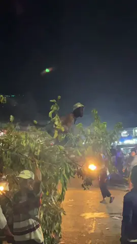Dadi monyet” an ndk karnaval tambah menghayati peran😭🤣#tawangrejeni #karnaval2025 #soundkarnavalindonesia #fyp #fyp 