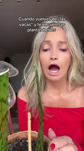 #fyp #viral 