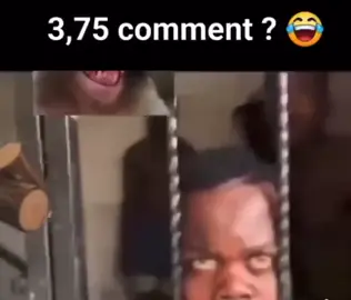 #flyp 