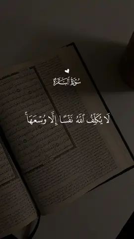 اواخر سورة البقرة 🤍 #قران #فارس_عباد #quran#★彡حہٰمزة彡★ 