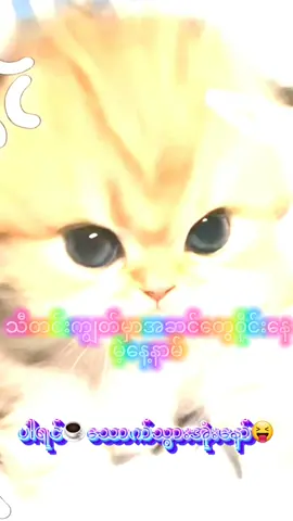 #ပါရင်commentမှာပြောခဲ့နော်🖤🍭🌈 #fypပေါ်ရောက်ချင်မိ😾🖤 #fypシ゚ 