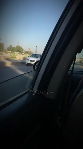 مدري اصاب كلبي 💔 #بابل_الحله 