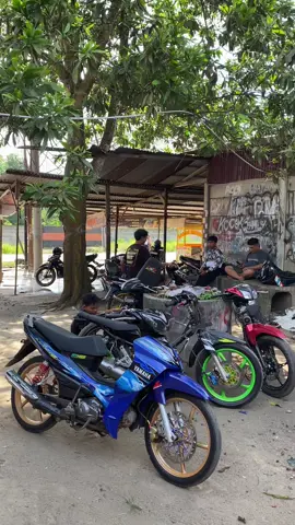 angguk”🤭#bmspesona #5tpjambi #z1jambi #fypシ゚viral #5tpmenolakpunah 