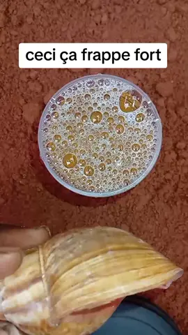 ceci ça frappe fort