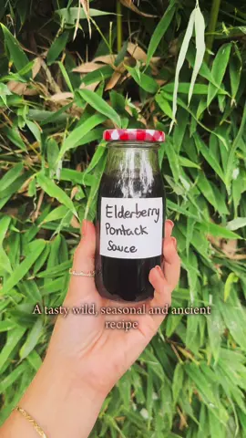 A forgotten sauce, Pontack Sauce is made using foraged elderberries and cooked with vinegar, onions, ginger and spices! 🫐🌳🧺 It’s goes well with earthy flavours such as beetroot, venison, rabbit and m game birds. 🦌🫜🍂 Ingredients: .500g Elderberries .100g Blackberries .250ml Balsamic vinegar .250ml Raw organic Apple   cider vinegar .180g Demerara sugar .1 Red onion .Salt & pepper .Thumb of ginger .1tsp all spice .1 cinnamon stick —————————— The information in this video is for educational and entertainment purposes only. Foraging and consuming wild foods can be dangerous if done without proper knowledge and experience. Always be 100% certain of a plant or mushroom’s identity before consuming it, and consult local guidelines or an expert. Do not attempt to forage unless you are confident in your identification skills and aware of any potential risks. —————————— #Elderberries #Pontack #Elderberryrecipe #foraging #seasonalfood 