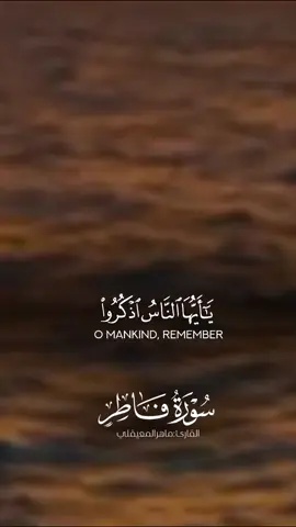 #CapCut #CapCut @mayna_b @Reminder.🤍 #fypシ゚ #القران_الكريم 