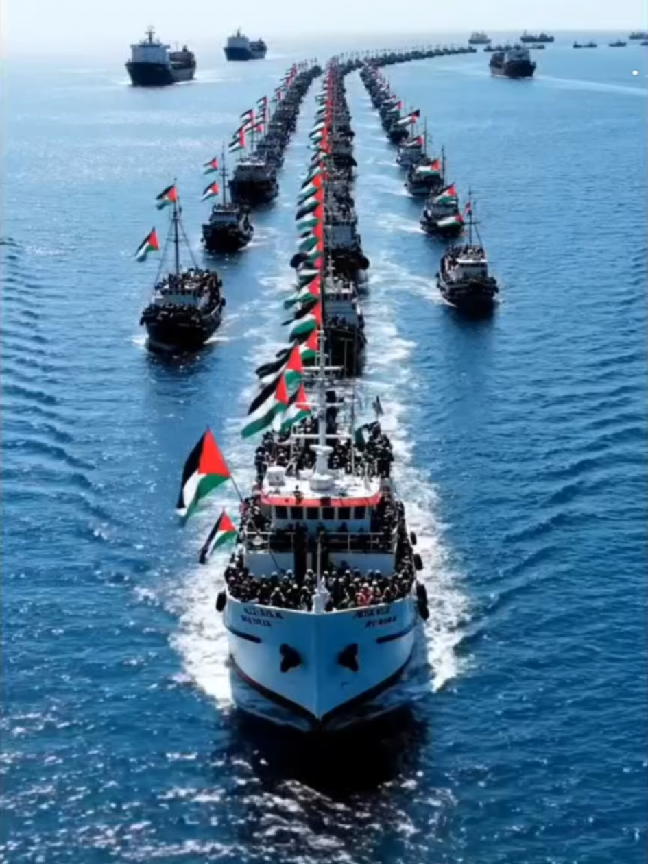 #freepalestine #globalsumudflotilla #gaza #indonesia #fyp 