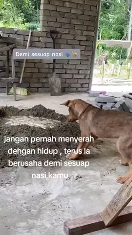 keras kehidupan maii       . . .                                                                     #foryourpage #kerjakeras  #sabahanpipol 