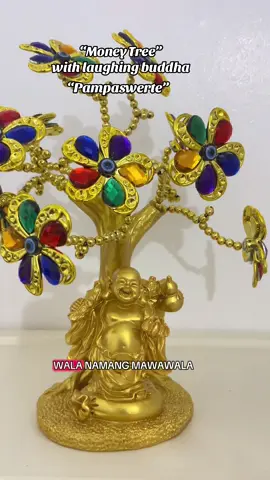 Pampaswerte Money tree with laughing buddha #moneytree #pampaswerte #luckycharm #moneytree 