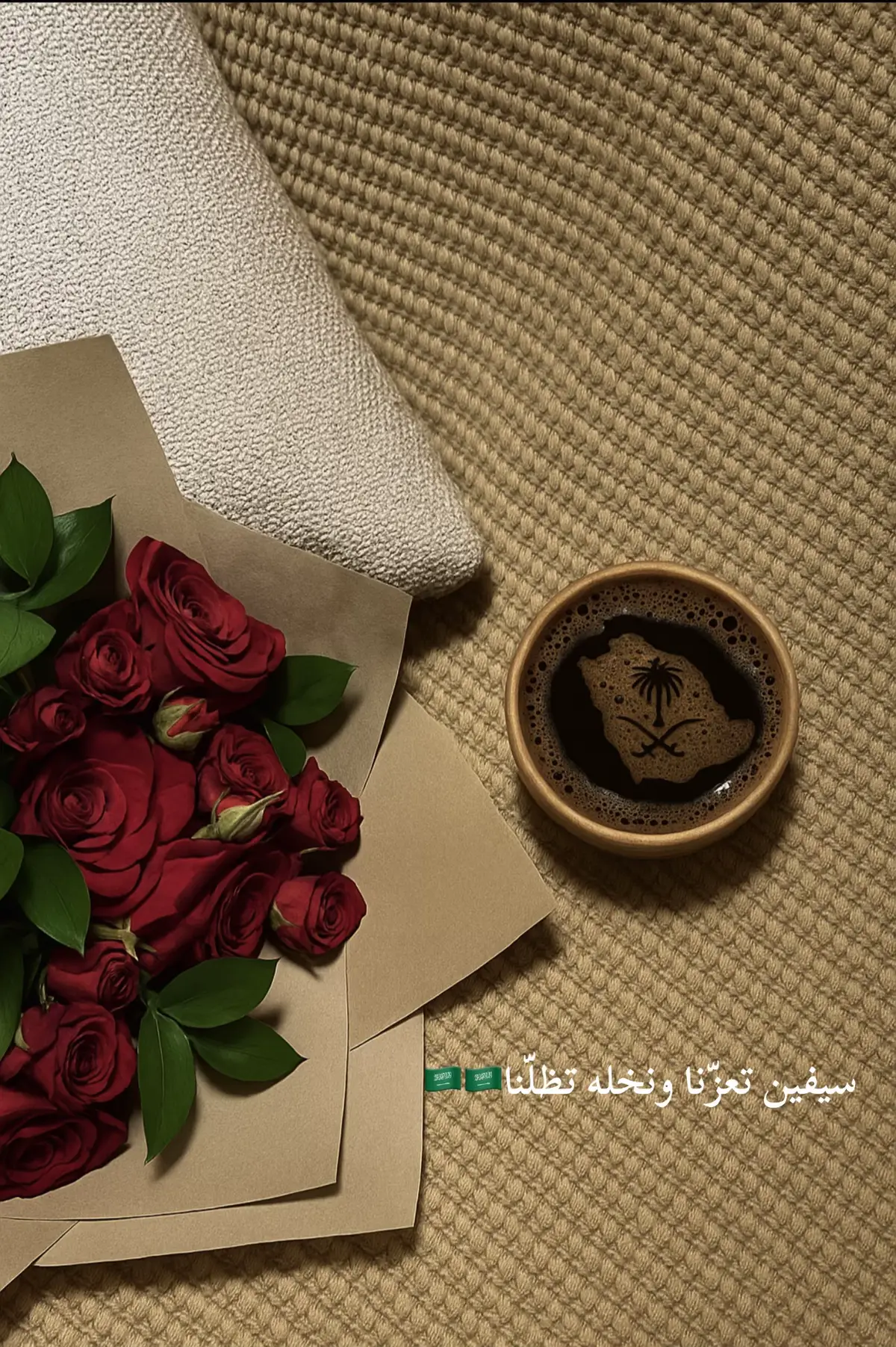 #سيفين_ونخلة #اليوم_الوطني_السعودي٩٥🇸🇦 #اكسبلور #explore #السعوديه 