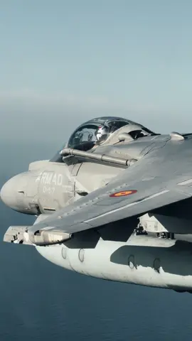 #FighterJet #fyp #pilot #Military #TopGun 