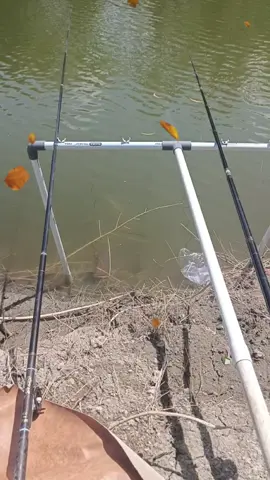 #mancing #ojoltiktok #gojeksoloraya #gojekindonesia #fyp 