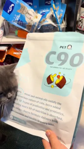 Từ khi đổi qua em này thì mèo nhà tui mập hẳn và lông bóng mượt🥰#catsoftiktok #lovecats #nuoimeo #petq #hatchomeo 
