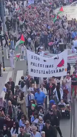 Stockholm - Swedia.. Demonstrasi menentang kelaparan dan genosida di Gaza #freepalestine  #savegaza 