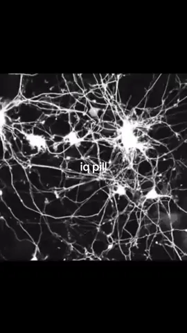 #physics #chimistry #biology #iq #iqmaxxing #uqmax #iqmaxing 