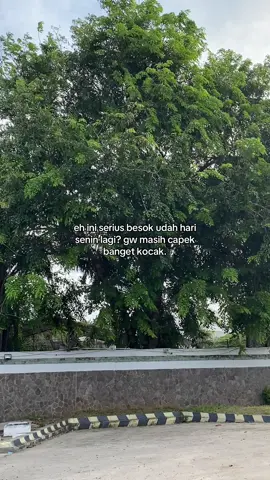 #kidstersenyum 