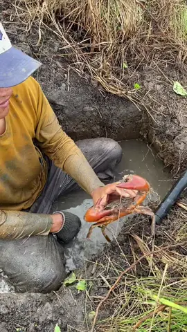 sabil kerja pulangnya dapet ikan #yulianarahman #fyp