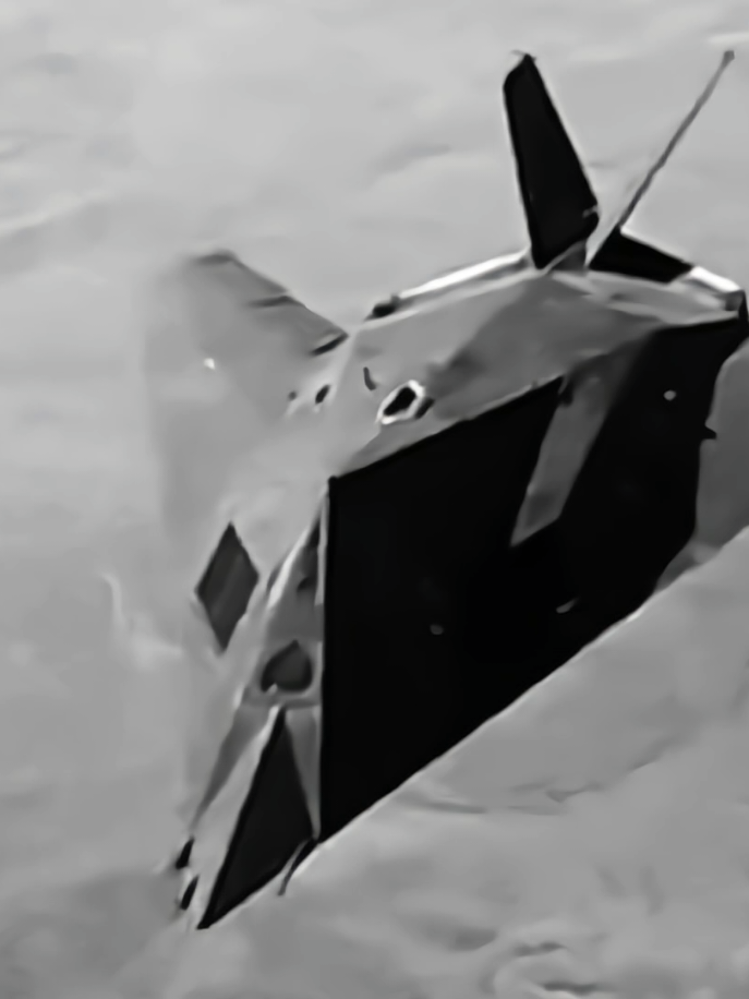 AND I FEEL SO SIGMA😝 | isi apa yah🐦 Collab with my love again:@𝐒𝐓𝐄𝐕𝐙 𝗦𝗣𝗭¹⁷  #aviation#military#airforce#f117nighthawk#stealth#fighter#fypシ#fypシ゚viral 