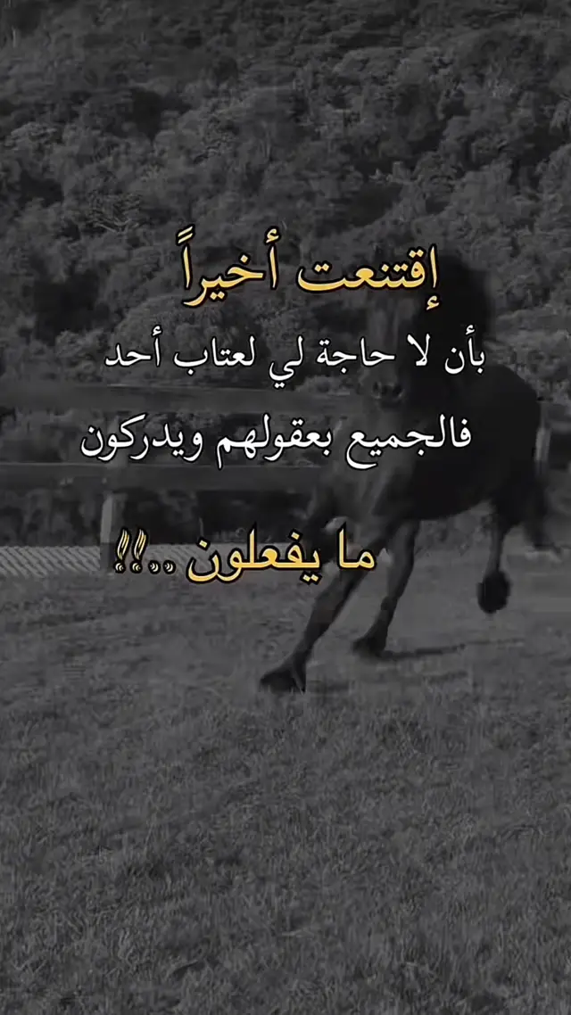 #كليمات_سيده_مجهوله✍🏻🔥 