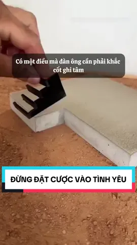 Đừng đặt cược vào tình yêu, cũng đừng đặt cược vào sự trung thành của bất kỳ ai… #chiase #danong #tamtrang #cauchuyencuocsong #trietlycuocsong #songvangam_ 