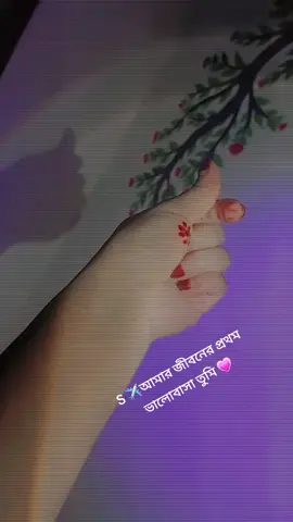 ✈️তুমি আমার ভালোবাসা থাকবে চিরকাল আমি তোমায়  ভালোবাসবো অনন্তকাল 💗