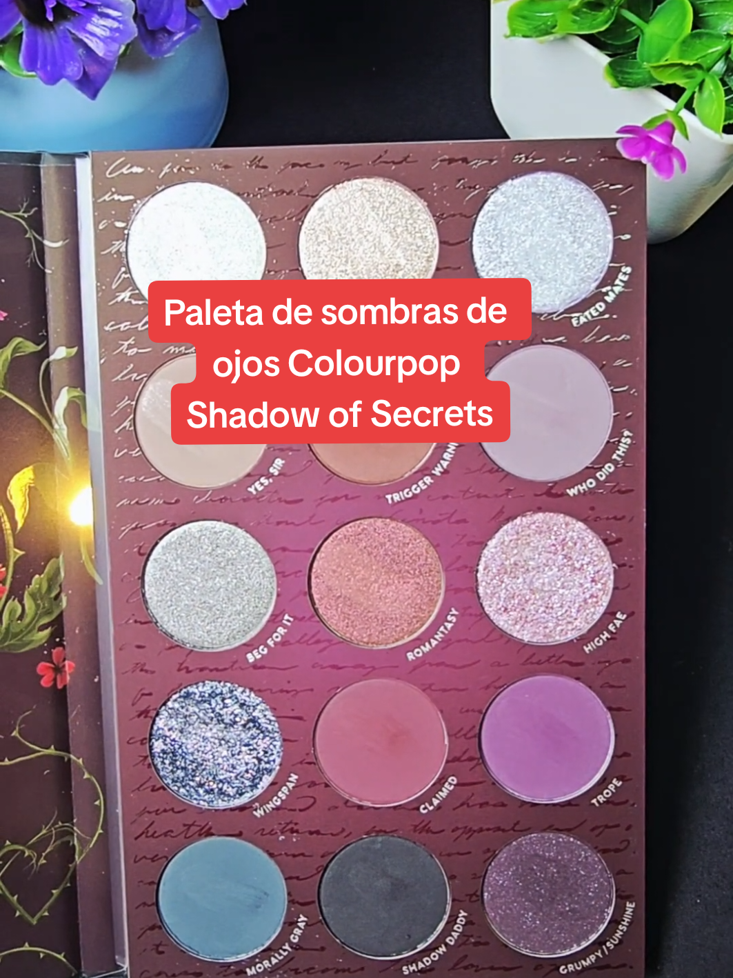 HA VUELTO! La paleta de sombras de ojos Colourpop Shadow of Secrets se agotó durante 7 meses y está de vuelta por 20 $ con envío GRATIS  #colourpopcosmetics #colourpop #cpshadowofsecrets #sombradeojos  #tiktokshopcreatorpicks 