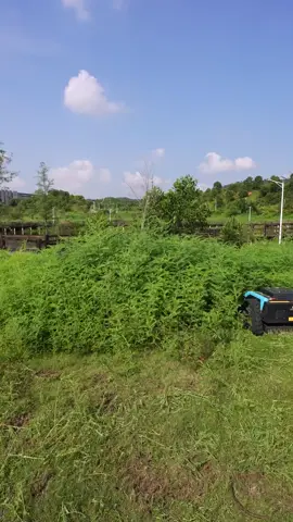 Brushless high-speed operation | KOHAM Big RC Lawn Mower.#mowingtiktok #❤🔥koham #satisfying #viralvideoTK #weeding 