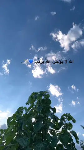 💚…#الحمدلله_دائماً_وابداً #fyp #viral #foryoupage #اكسبلور 
