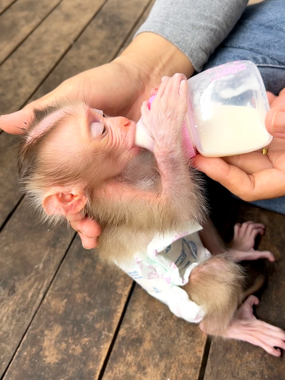 Mom Tenderly Hold & Careful Feed Nutrient For Skinny Jumie