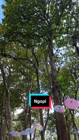 Ngopi santai di kjk desa jenongo gucialit @Mr.zayang83  #ngopi  #viralvideo