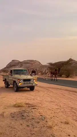 #اكسبلور 